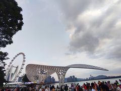 -宝安西湾红树林湿地公园