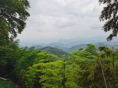 -莫干山风景区