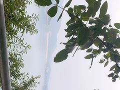 -望湖烤鱼