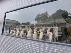 -粥旺庄(芳村店)