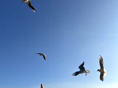 -深圳湾公园(南山区)
