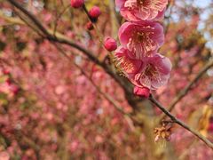 -南山风景名胜区