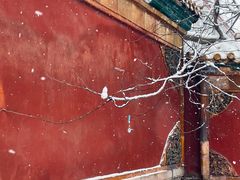-北京国子监胡同