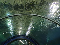 -秦皇岛新澳海底世界