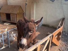 -HERRE·FARM 赫尔露营农场·团建聚会包场