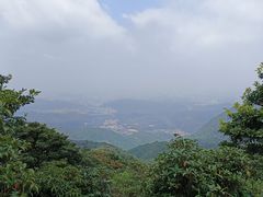 -梧桐山风景名胜区