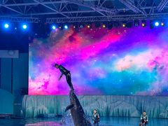 -海合安青岛极地海洋公园