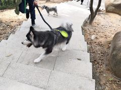 -火炉山森林公园