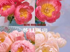 -循礼门鲜花花市(武汉循礼门店)