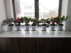 -南京夫子庙国际青年旅舍(平江府路店)