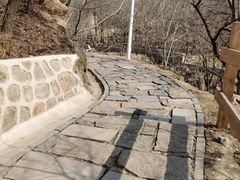 -大岭沟猕猴桃谷风景区