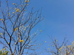 -光明小镇欢乐田园