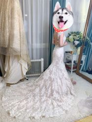 -LANYI COUTURE高级婚纱礼服改衣店