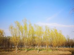 -东郊湿地公园