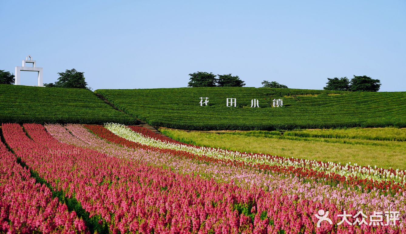 金华武义花田小镇图片