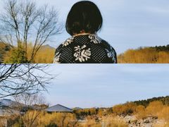-鹦鹉寺公园