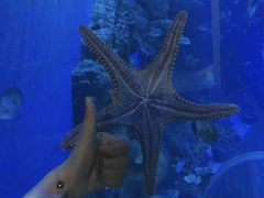 -成都浩海立方海洋公园