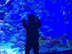 -成都浩海立方海洋公园