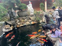 -仙岳公园