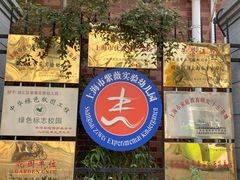 -紫薇实验幼儿园(桂平路校区)