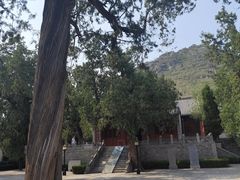 -华山风景区-华阳宫