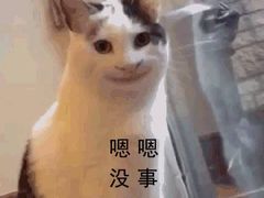 -汪小喵宠物·戴维斯乐芳希施宠馨宝皮毛调理洗护店