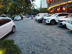 -川西坝子火锅(金沙1.0直营店)