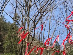 -溪口-滕头旅游景区