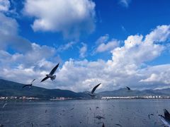 -海埂大坝