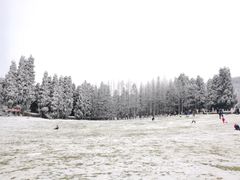 -武陵山森林公园