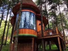 -洛阳白云山景区