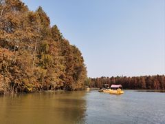 -上海海湾国家森林公园