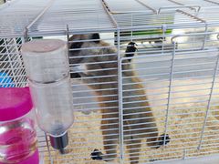 -华声天桥民俗文化园