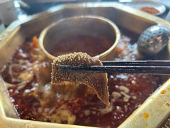 -蜀九香火锅(李家沱店)