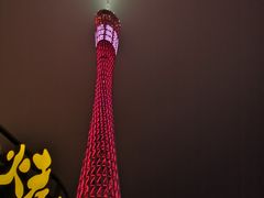 -珠江夜游西堤码头