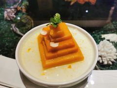 南瓜百合-宝燕壹号(徐汇店)