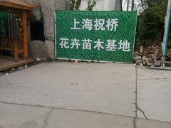 -龙大花卉苗木市场