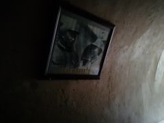 -延安杨家岭革命旧址