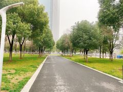 -天鹅湖体育公园