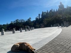 -天坛大佛