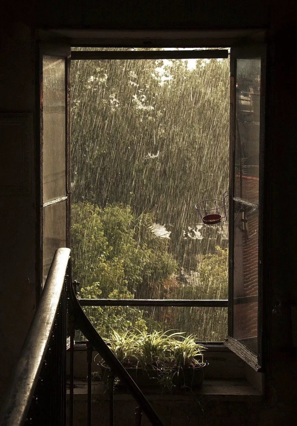和窗外的景色对话,雨