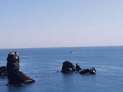 -涉地可支