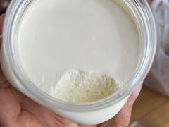 -德禄酸奶(莫家街店)