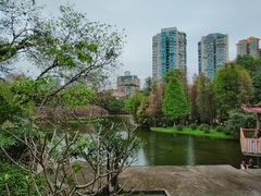 -晓港公园