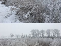 -雾凇岛