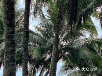记得偶尔去三亚的海边，吹吹海风看看晚霞
