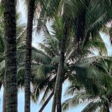 记得偶尔去三亚的海边，吹吹海风看看晚霞
