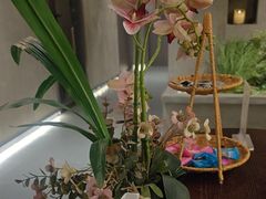 -施奈儿.洗头頭療.按摩SPA.采耳(上梅林店)