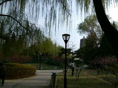 -玲珑塔公园