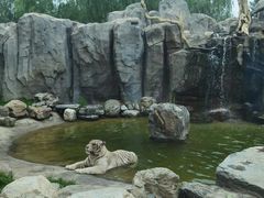 -北京野生动物园